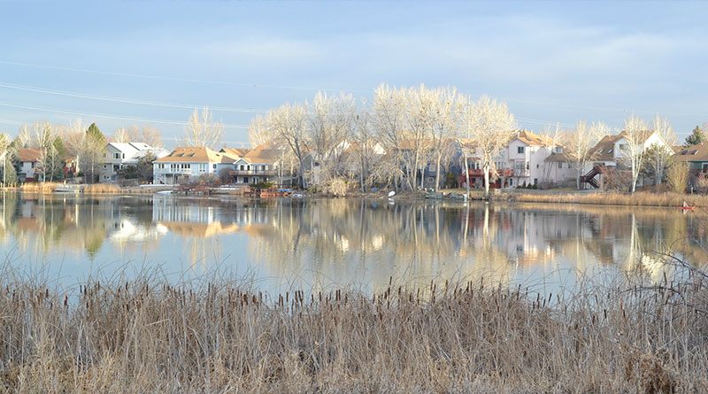 Loveland