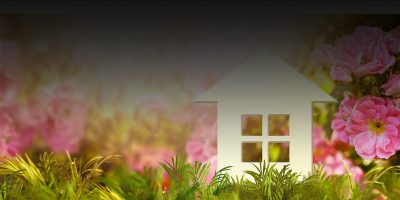 Spring Market is Healthy Banner