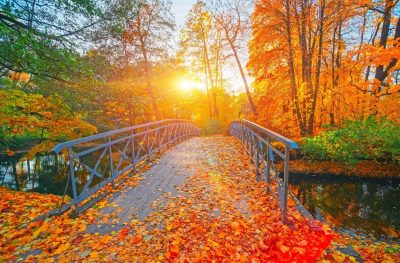 stock-photo-autumn-nature-landscape-lake-bridge-in-fall-forest-path-way-in-gold-woods-romantic-view-image-2198245029