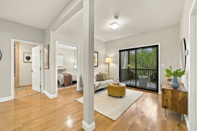 Gallery Photo #51