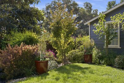 Gallery Photo #59