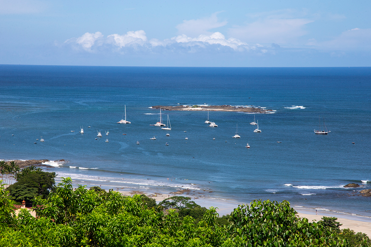 Tamarindo