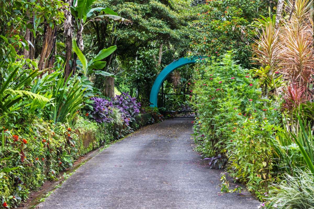 pathway garden