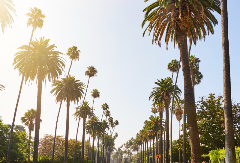 Beverly Hills