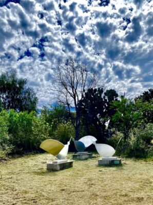 The sculpture garden