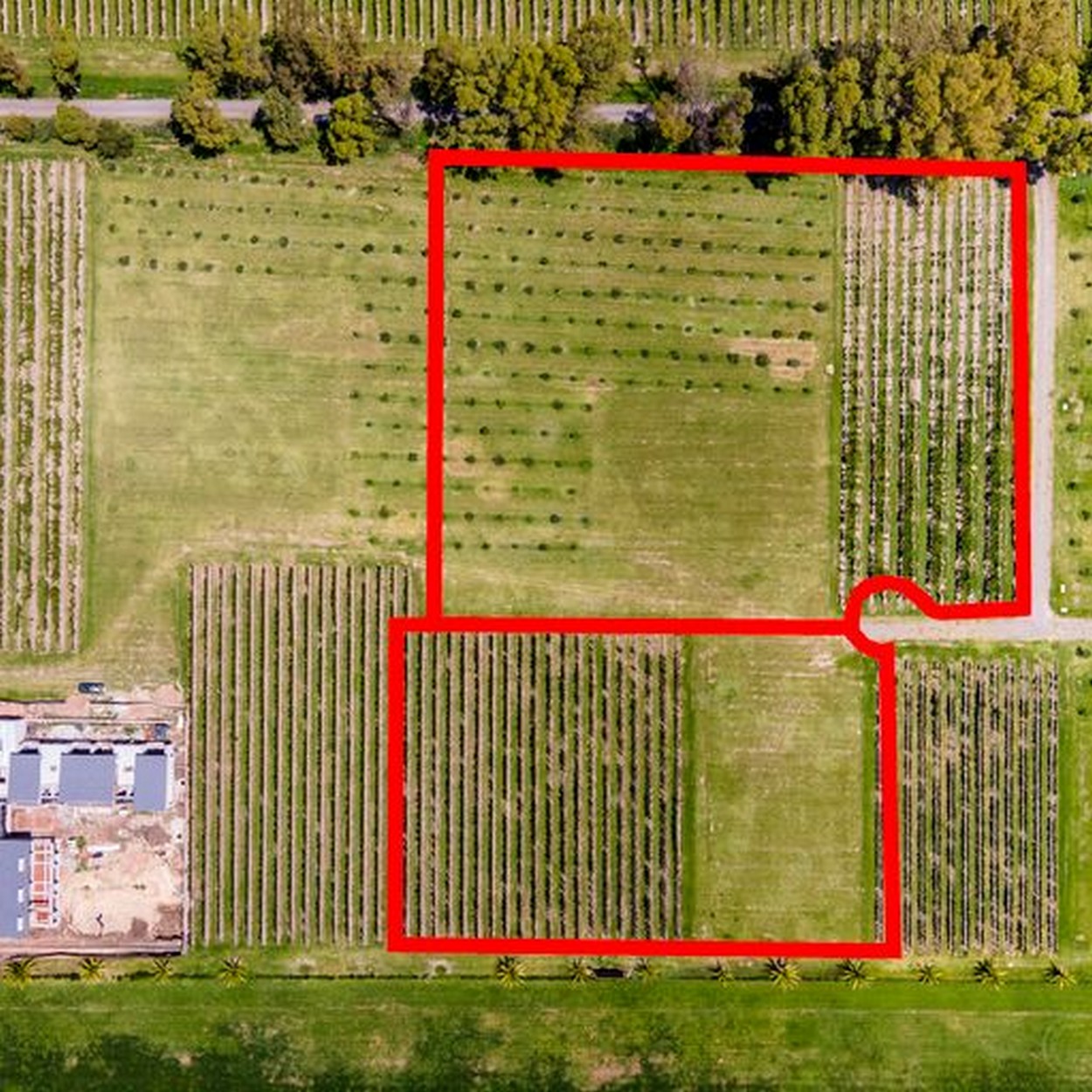 Listing