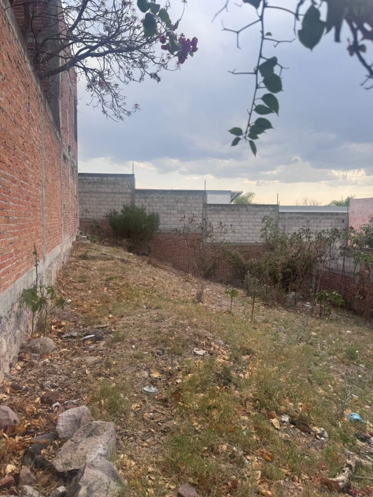 LOTE VERACRUZ