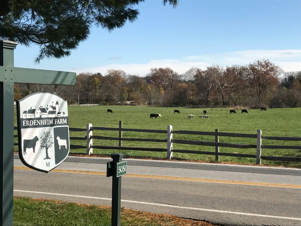 Springfield Township