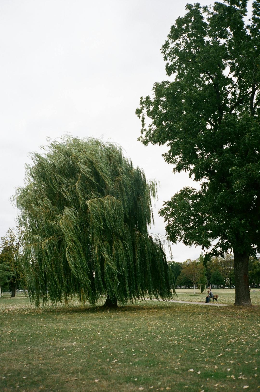 Skippack Township