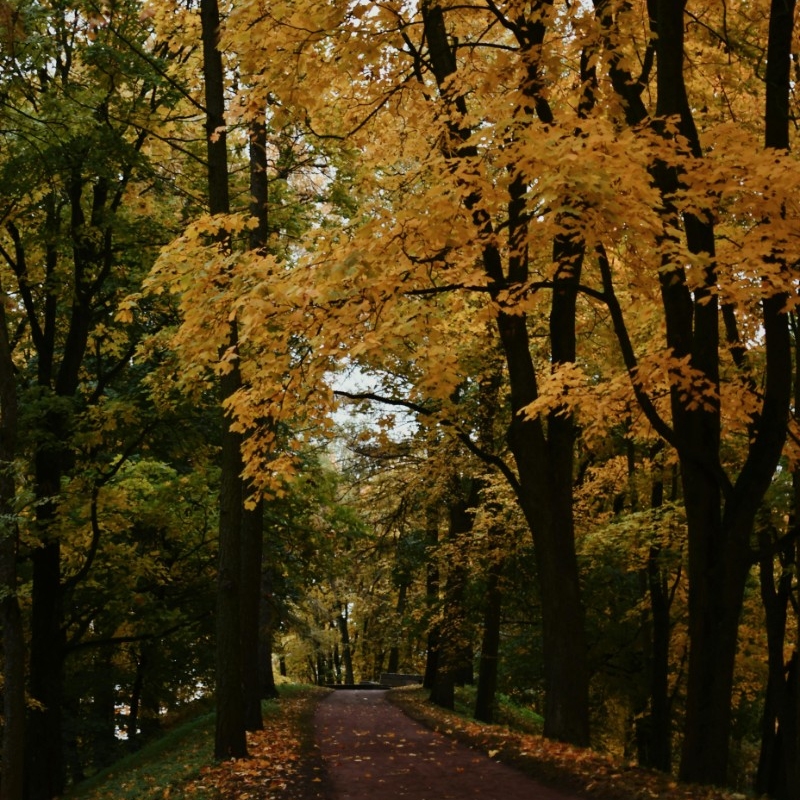 Lower Merion Township