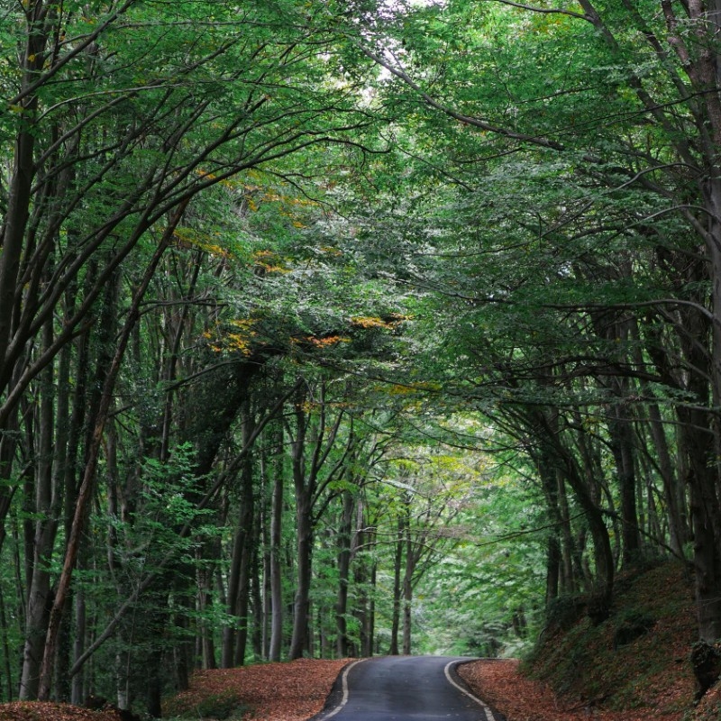 Worcester Township