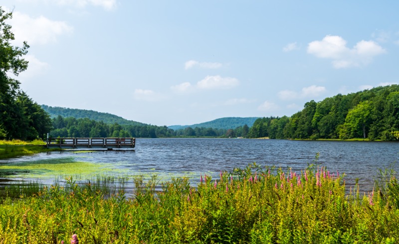 Upper Frederick