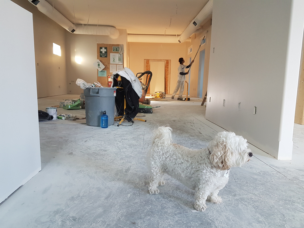 renovating