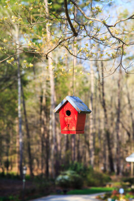 Can Smaller Be Better