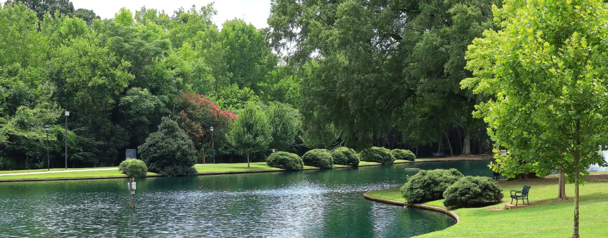 Scenic view of Onslow County featuring a serene lake surrounded by lush green trees, with a park bench overlooking the water