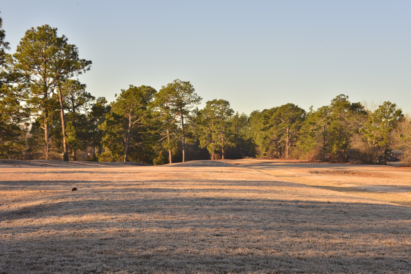 Vanceboro