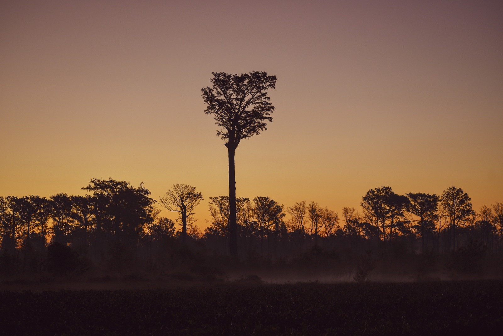 Duplin County