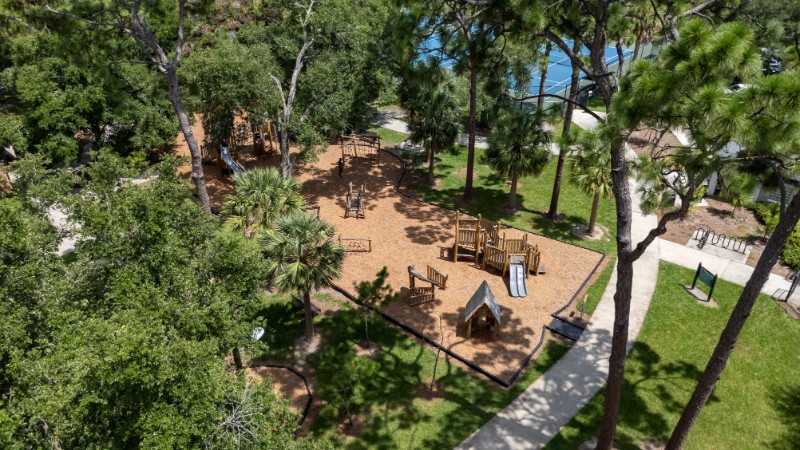 Area Image