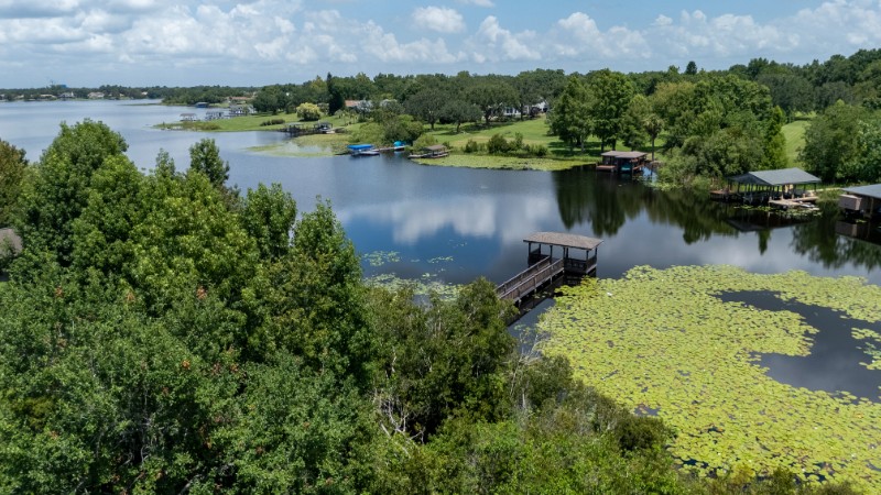 Area Image