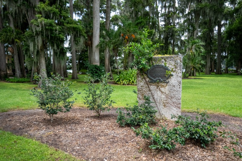 Area Image