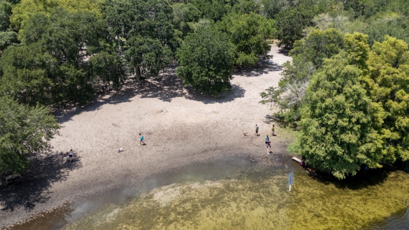 Area Image