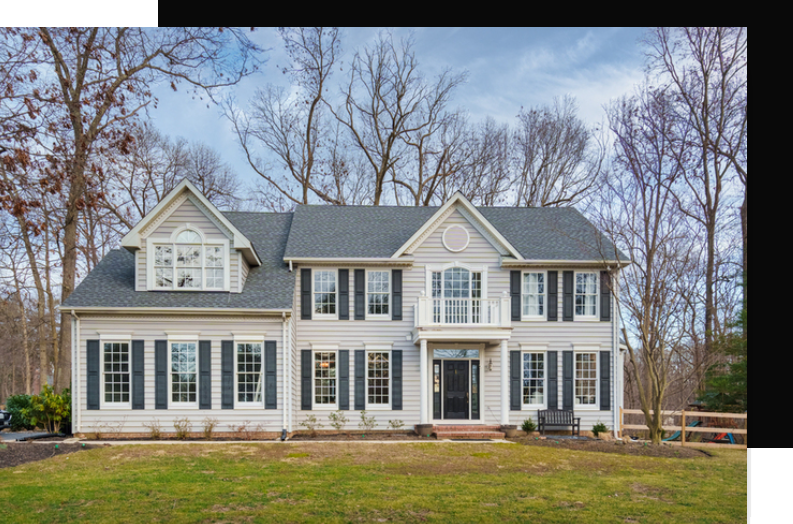 Free Market Analysis