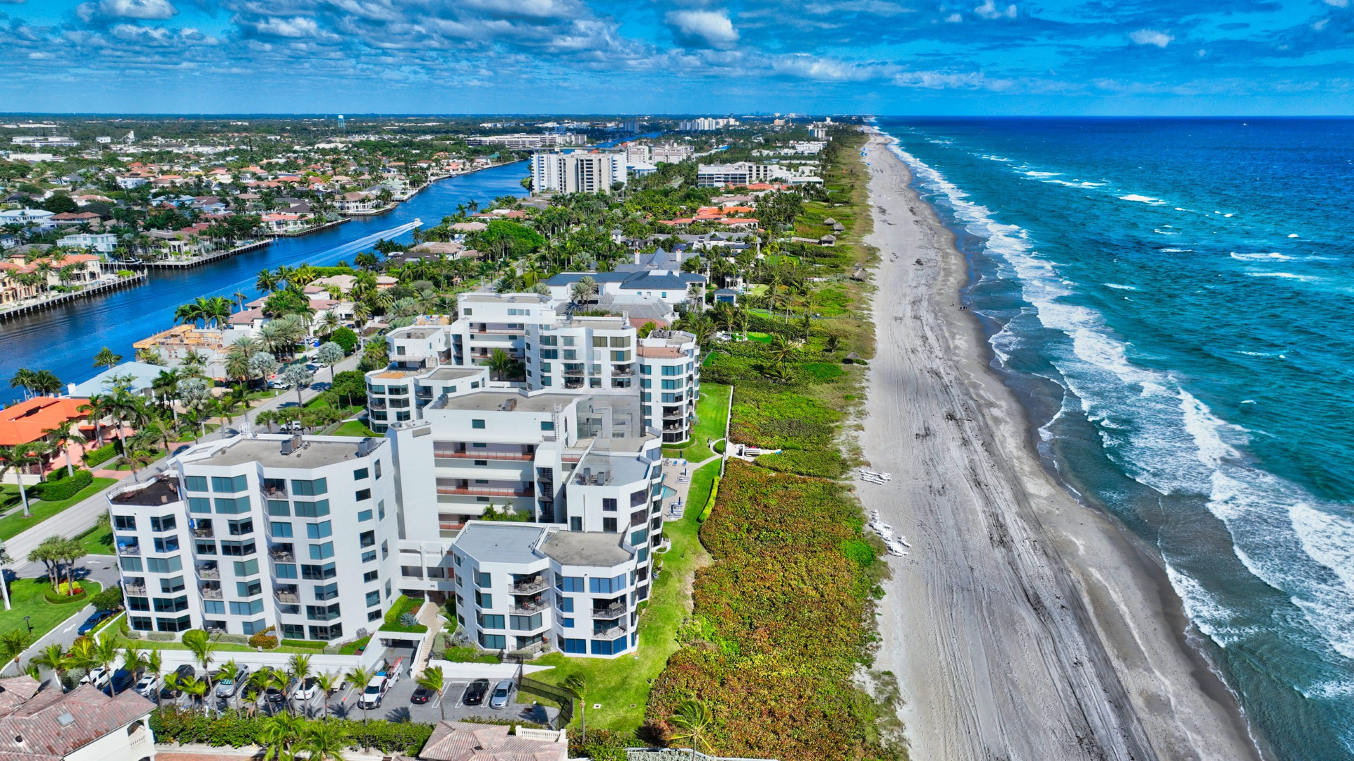 Untitled design (52)