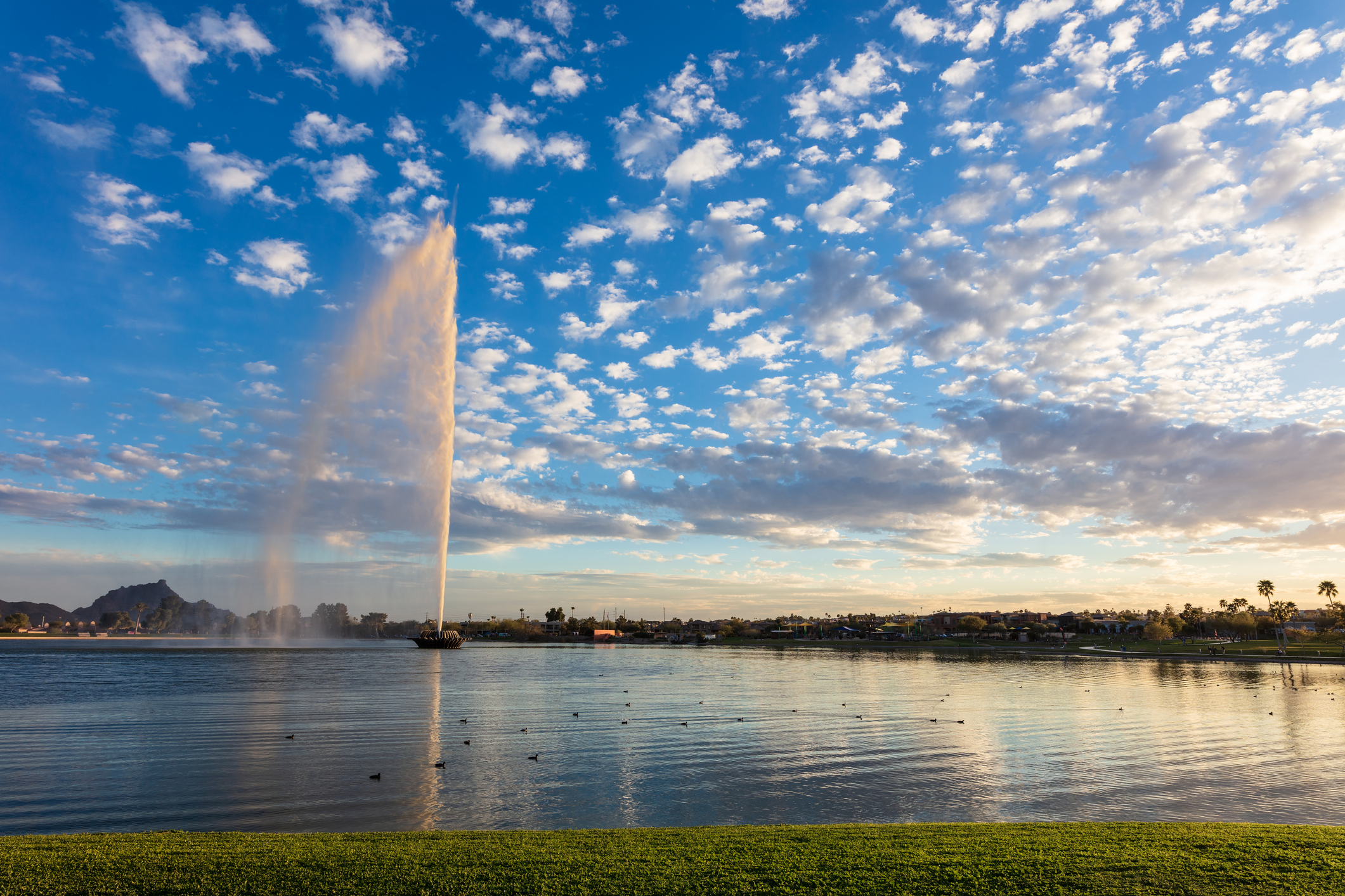 Featured Community: <span>Fountain</span> <span>Hills</span> Photo