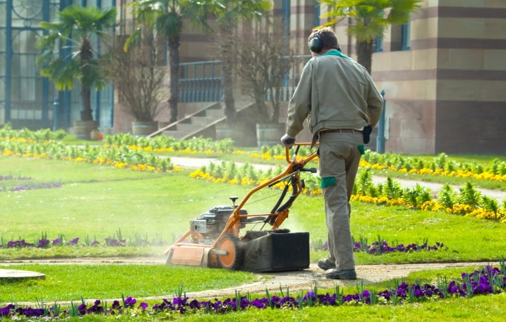 Landscaping and Grounds Maintenance