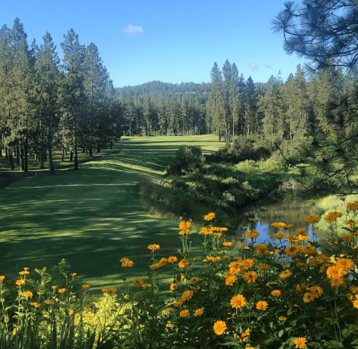 Creek at Qualchan Golf Course