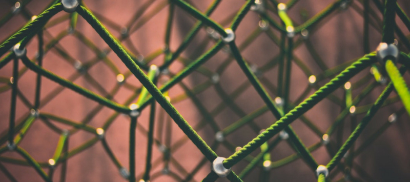 Photo Courtesy of Clint Adair on Unsplash