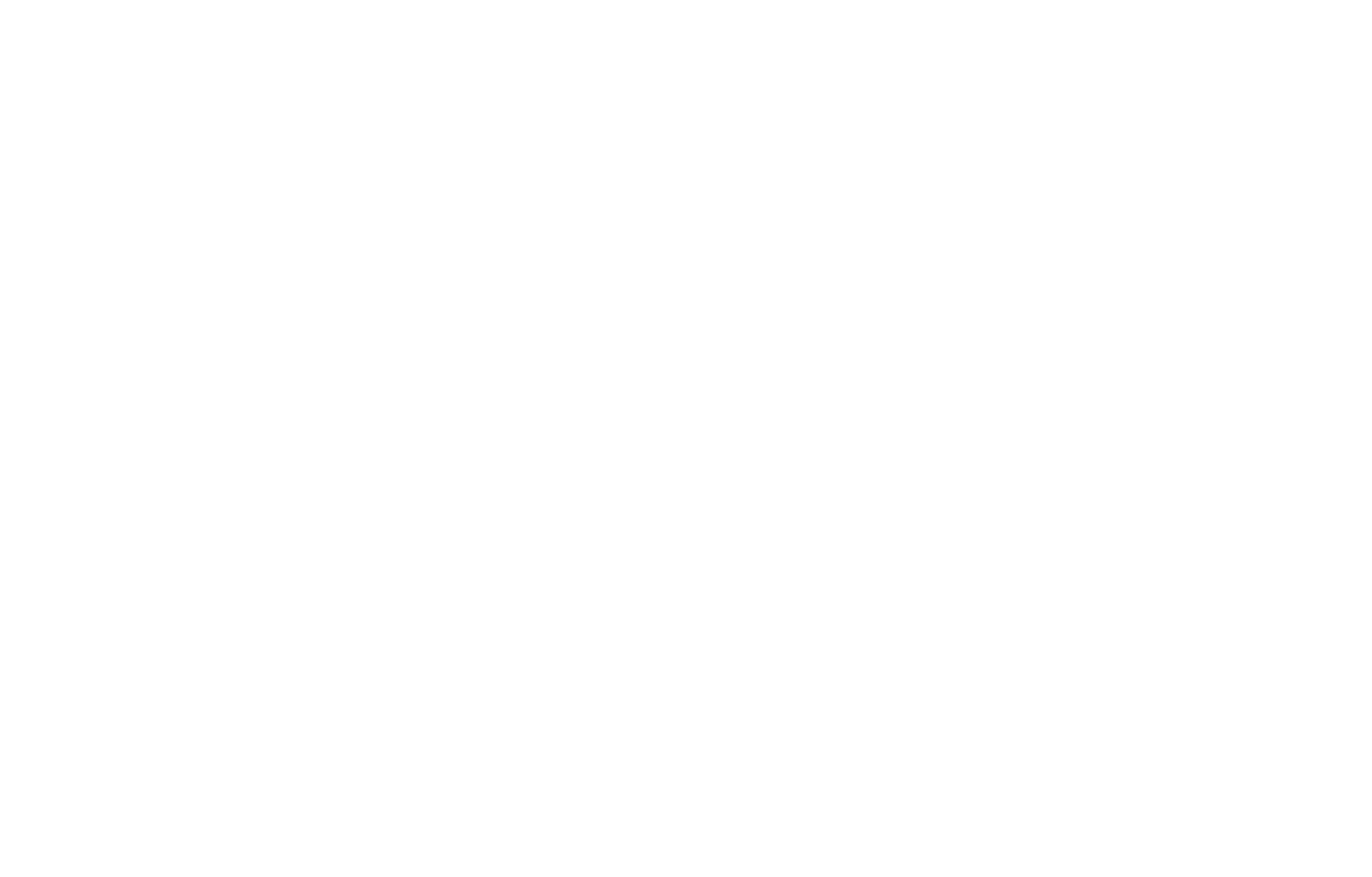 Michael Mann Group