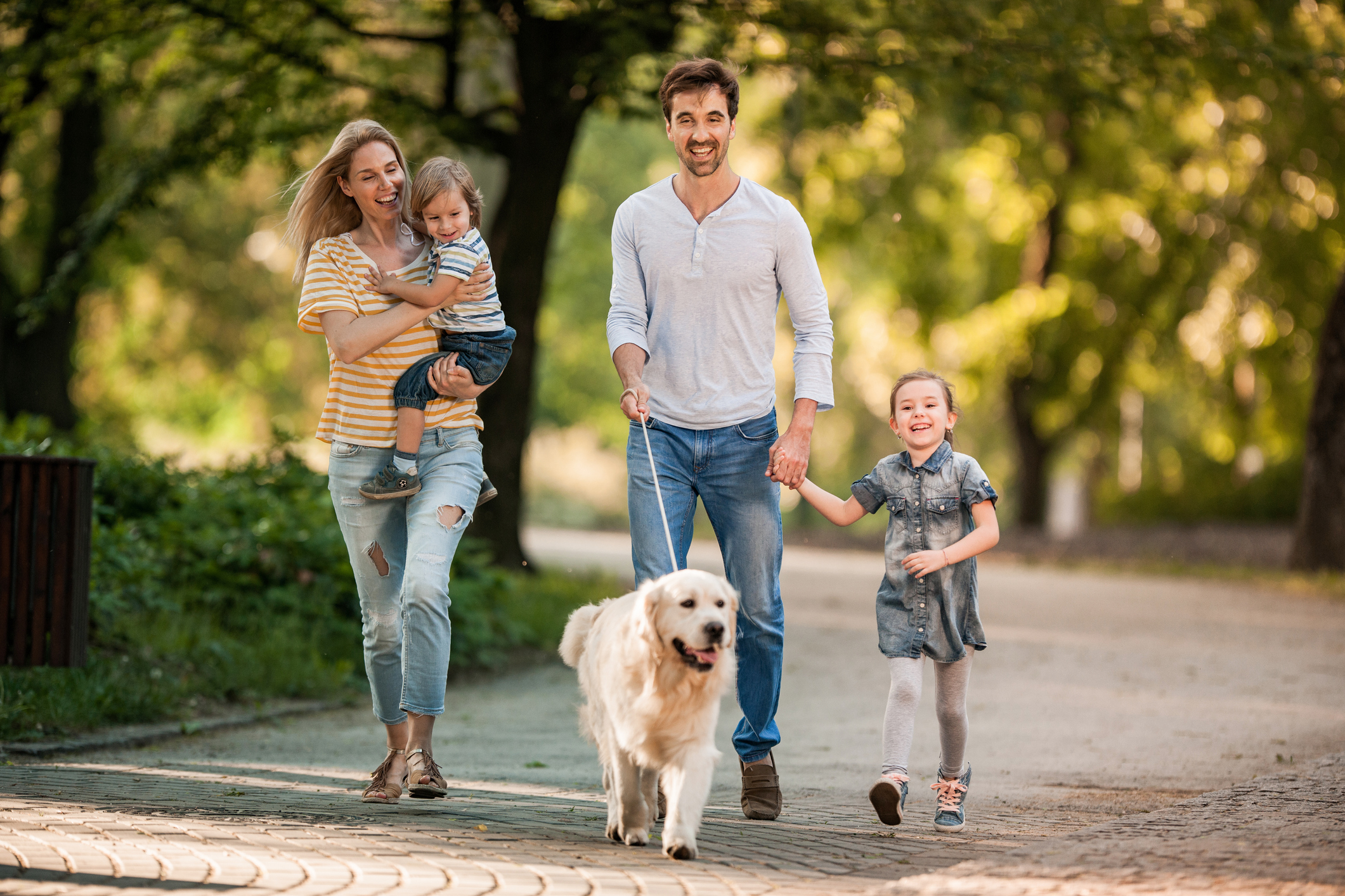 A family walking together in a tree-lined park