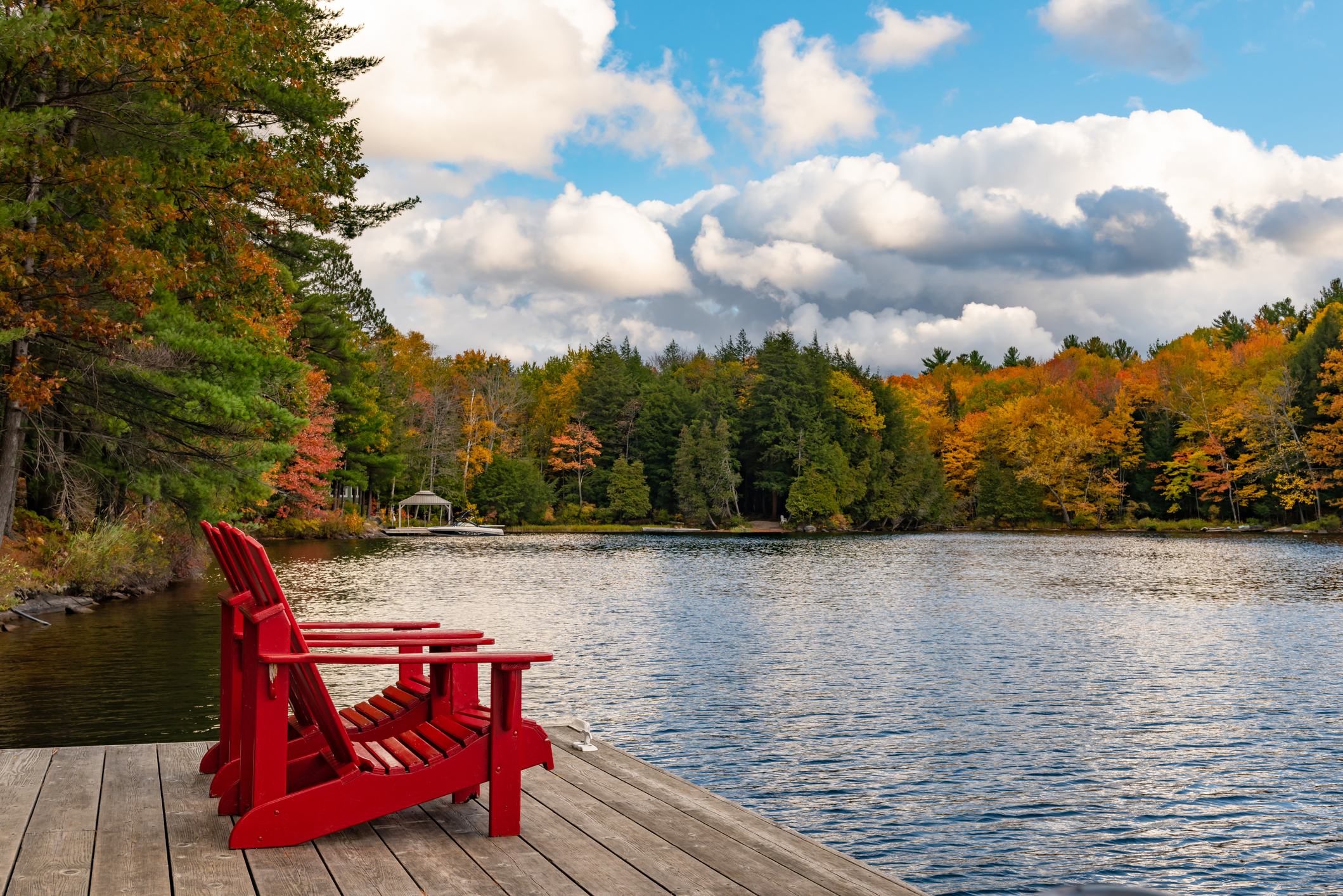 A scenic lake and forest landscape in Muskoka, Ontario