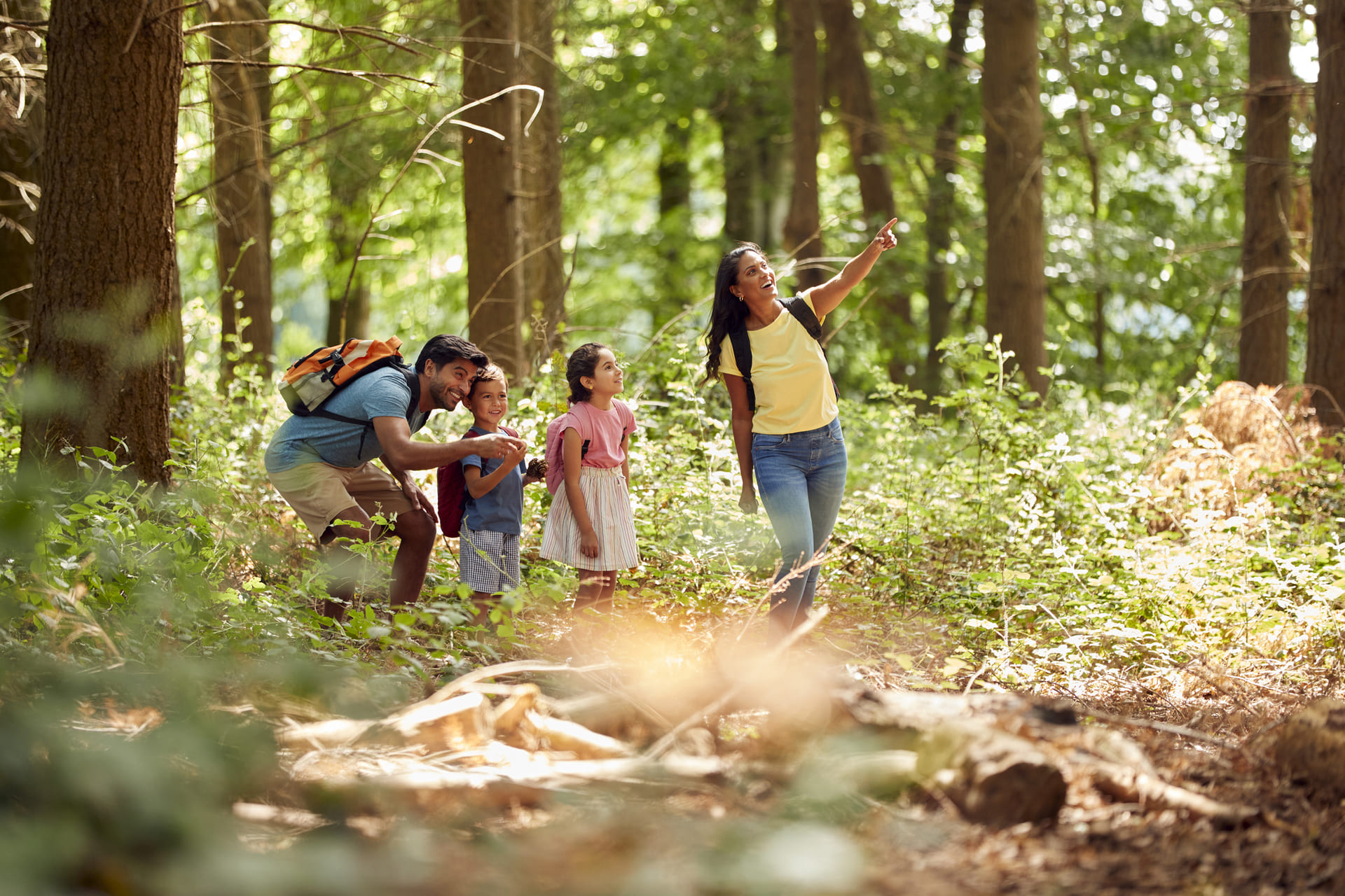 Family hiking through a wooded trail