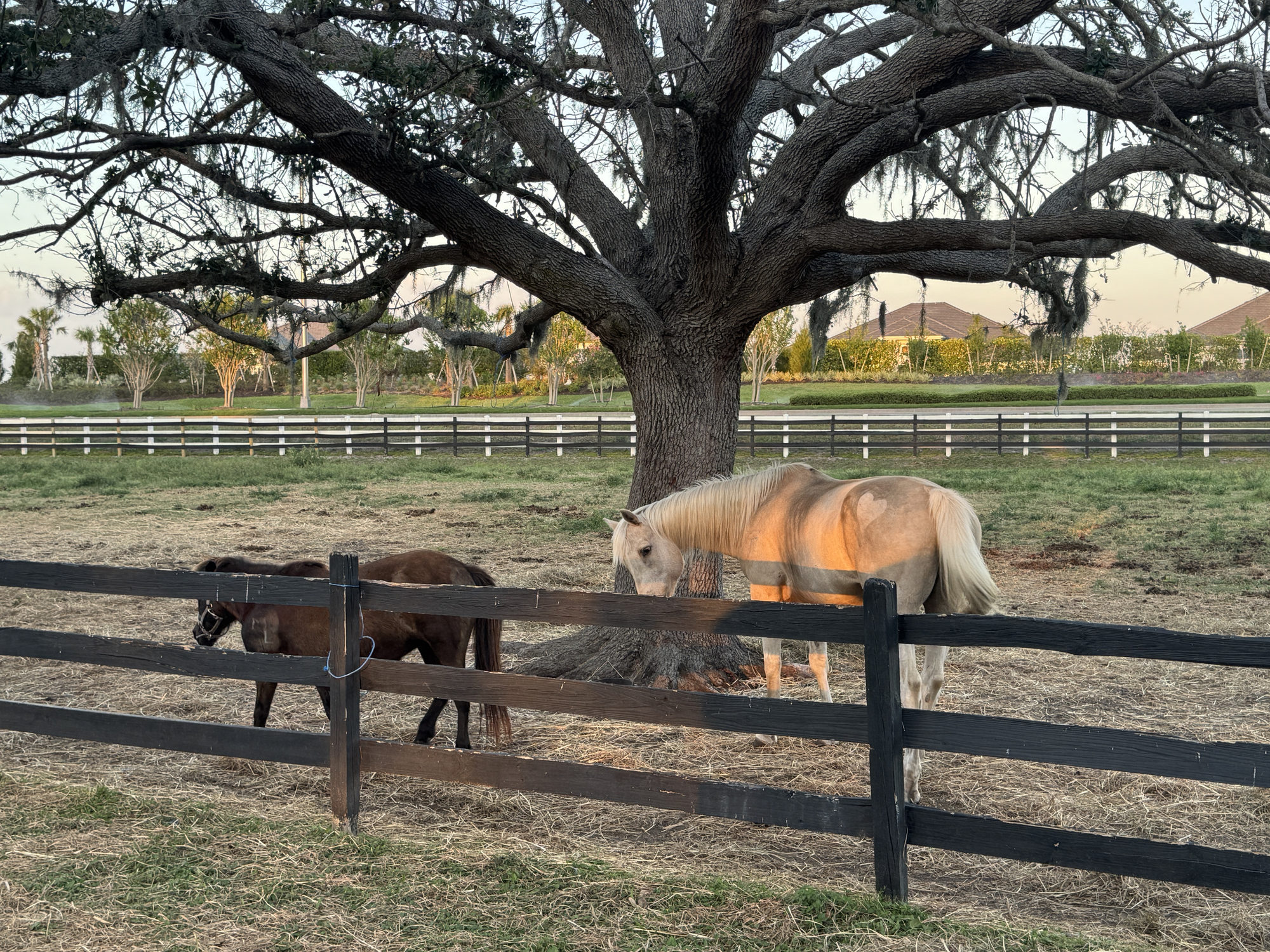 Lakewood Ranch